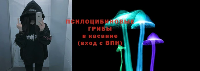 ПСИЛОЦИБИНОВЫЕ ГРИБЫ Богородск