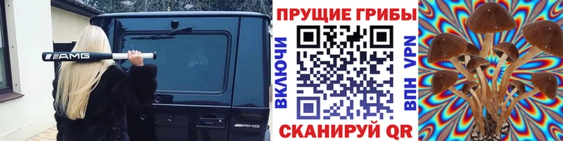 что такое   Первомайск  Псилоцибиновые грибы мицелий 